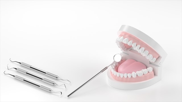 Eラインに影響する歯並び