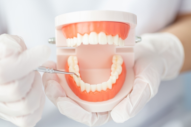 埋伏歯の特徴