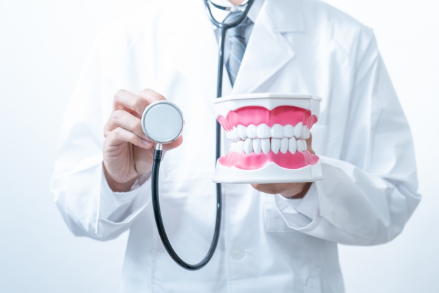 非抜歯矯正はゴリラ顔になるのか歯科医が解説｜抜歯の目的や非抜歯矯正の基準もご紹介します