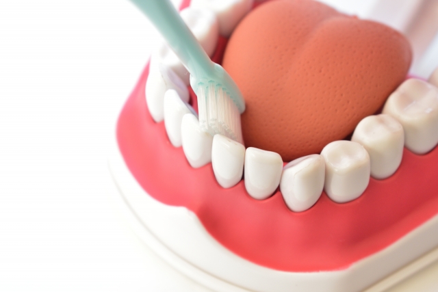 歯列矯正で歯肉退縮が起こる原因
