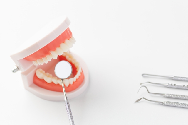 歯並びと正中の関係性
