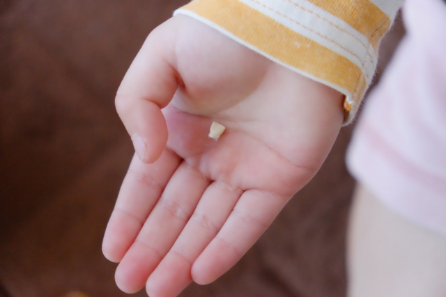 大人の乳歯とは何ですか?