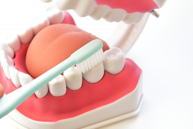 奥歯の歯並びは噛み合わせに影響する？